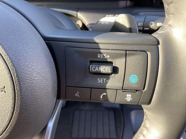 �v���p�C���b�g�́A�������H�ł̒P���ȑ��s�ƒ����Ԃ̏��q���s�Q�̃V�[���Ńh���C�o�[�ɑ����ăA�N�Z���A�u���[�L�A�X�e�A�����O�������Ő��䂵��J�y���ɂȂ�܂��B