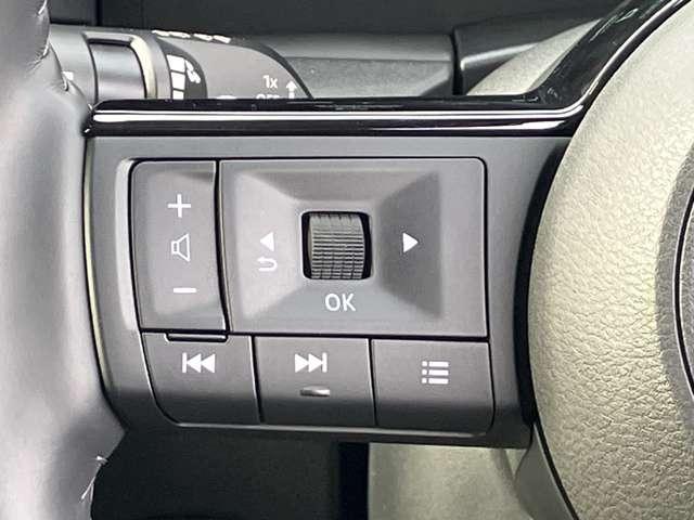 �y�X�e�A�����O�X�C�b�`�z���s���ł��n���h�������𗣂����ɃX�s�[�h���[�^�[���̃C���t�H���[�V�����f�B�X�v���C�̐ؑցA���ʒ��ߓ��A����ł��܂���