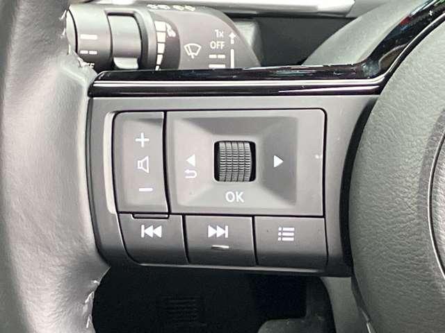 �y�X�e�A�����O�X�C�b�`�z���s���ł��n���h�������𗣂����ɃX�s�[�h���[�^�[���̃C���t�H���[�V�����f�B�X�v���C�̐ؑցA���ʒ��ߓ��A����ł��܂���