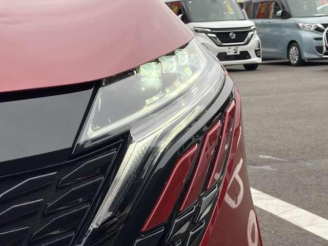 �y�k�d�c�w�b�h�����v�z�N�₩�Ȕ��F���ŁA�N���A�Ȏ��E���m�ۂ���k�d�c�w�b�h�����v������