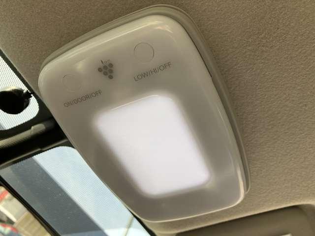 �����̂��ʐ^����������������