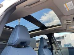 �ѥΥ�ߥå����饹�롼���դ��ˤʤ�ޤ��� 6