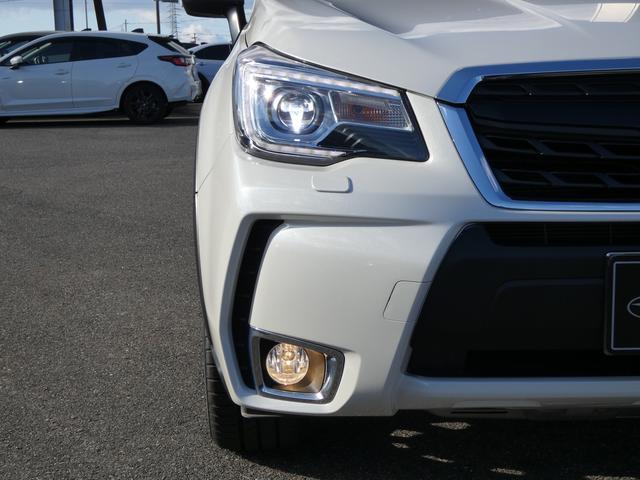 ���邢�k�d�c�w�b�h�����v�ƃt�����g�t�H�O�����v�Ŗ铹�����S���đ��邱�Ƃ��o���܂��I