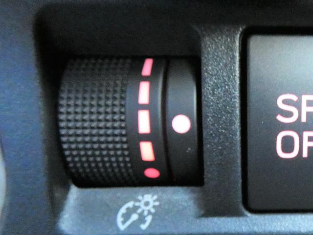 ���[�^�[���x�����_�C����