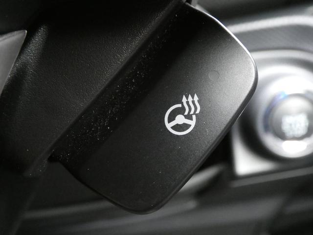 フォレスター ＸＴ－エディション　前後ドラレコ　ルーフレール　視界拡張　パナソニックナビ　フルセグ　Ｂｌｕｅｔｏｏｔｈオーディオ　ＨＤＭＩ　フロントカメラ　サイドカメラ　バックカメラ　スマートリヤビューミラー　ＥＴＣ２．０　電動リヤゲート　　ハイビームアシスト（27枚目）