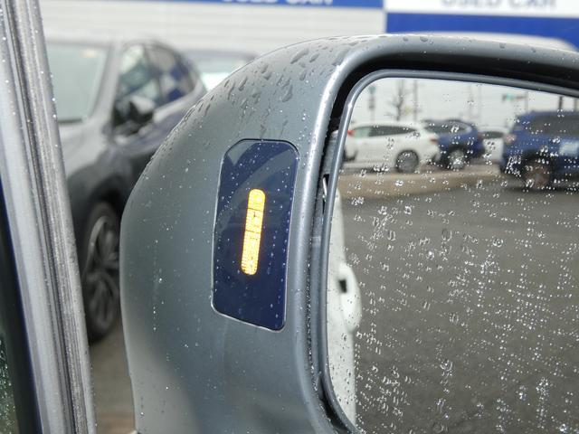 フォレスター ＸＴ－エディション　前後ドラレコ　ルーフレール　視界拡張　パナソニックナビ　フルセグ　Ｂｌｕｅｔｏｏｔｈオーディオ　ＨＤＭＩ　フロントカメラ　サイドカメラ　バックカメラ　スマートリヤビューミラー　ＥＴＣ２．０　電動リヤゲート　　ハイビームアシスト（49枚目）