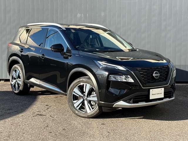 エクストレイル 1.5 G e-4ORCE 4WD ※雹害車 プロパイロット 全周囲カメラ 本革S パークアシスト LEDヘッドランプ ナビTV スマートキー レーダークルーズ LKA キーフリー ETC 4WD アルミホイール メモリーナビ バックカメラ サイドカメラ オートエアコン PS(18枚目)