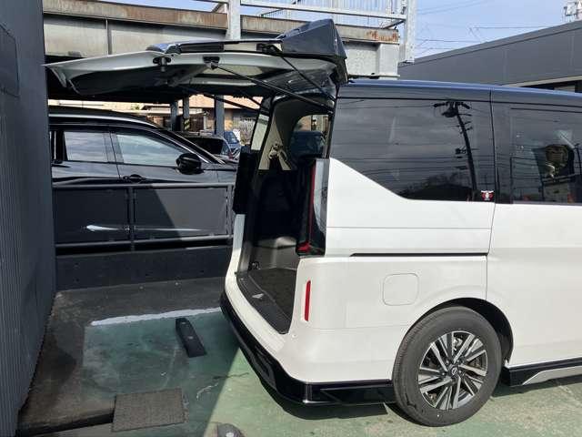 �J�����̑傫�ȃo�b�N�h�A�ł��B�J�̓��̉׉��낵���y�ɂł��܂��B