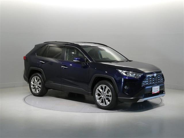 ＲＡＶ４ Ｇ　Ｚパッケージ　衝突被害軽減システム　メモリーナビ　フルセグ　バックカメラ　ＥＴＣ　ＣＤ　ミュージックプレイヤー接続可　ＤＶＤ再生　オートクルーズコントロール　ＬＥＤヘッドランプ　スマートキー　キーレス　４ＷＤ（8枚目）