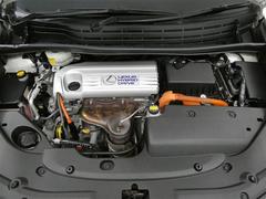 ���ʤϤ��ޤ긫�ʤ����󥸥�롼��������˻ž夲�Ƥ��ޤ��������ʤ��Ȥ�����������ݤ������Ǥ���͡� 7