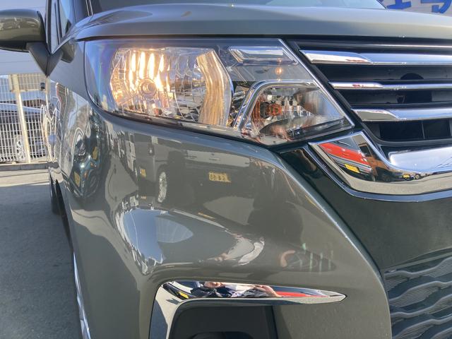 �n���Q���w�b�h�����v