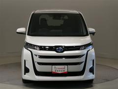 �Υ� �ϥ��֥�åɣǡ������ﳲ�ڸ������ƥࡡ���꡼�ʥӡ��ե륻�����Хå������ 0200761A20260124T003 2