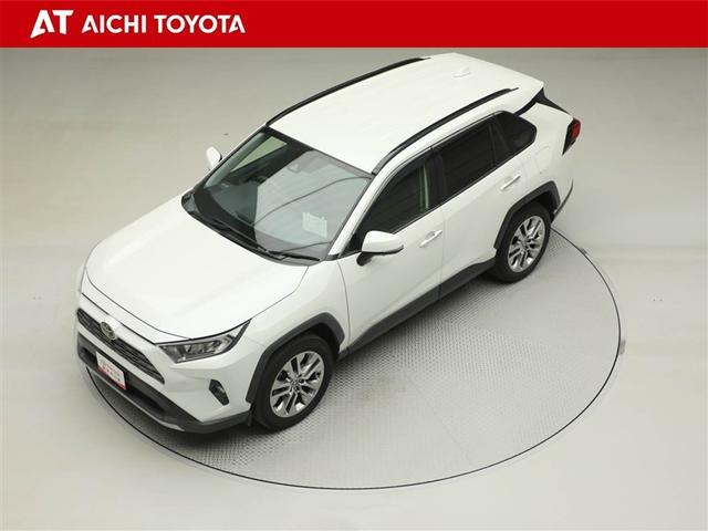 ＲＡＶ４ Ｇ　Ｚパッケージ　インテリジェントクリアランスソナー　ＡＷＤ　ＬＥＤライト　アルミホイル　オートクルーズ　横滑り防止装置　バックガイドモニター　盗難防止装置　デュアルエアバッグ　メモリナビ　キーレス　パワーシート（10枚目）