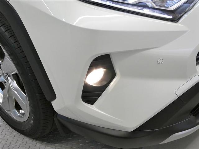 ＲＡＶ４ ハイブリッドＧ　衝突被害軽減システム　メモリーナビ　フルセグ　バックカメラ　ＥＴＣ　ミュージックプレイヤー接続可　電動シート　オートクルーズコントロール　ＬＥＤヘッドランプ　スマートキー　キーレス　４ＷＤ（10枚目）