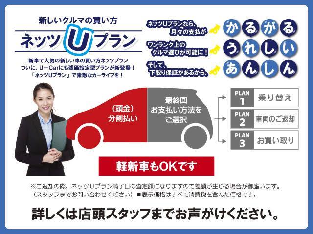 F セーフティーエディション メモリーナビ ワンセグ(2枚目)