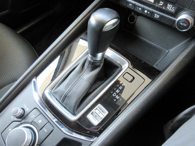 ���b�N�A�b�v�̈���g�債�A���X���[�Y�Ń_�C���N�g�ȃh���C�r���O�t�B�[�������������X�J�C�A�N�e�B�u�h���C�u�𓋍ڂ��Ă��܂��B