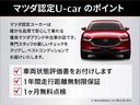 ＰＨＥＶ　プレミアムスポーツ　衝突被害軽減システム　アダプティブクルーズコントロール　全周囲カメラ　オートマチックハイビーム　サンルーフ　４ＷＤ　革シート　電動シート　シートヒーター　バックカメラ　オートライト　ＬＥＤヘッドランプ（28枚目）