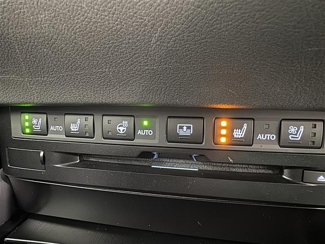 ES ES300h Fスポーツ 衝突被害軽減システム メモリーナビ フルセグ バックカメラ ETC CD ミュージックプレイヤー接続可 DVD再生 サンルーフ 電動シート オートクルーズコントロール LEDヘッドランプ スマートキー(16枚目)