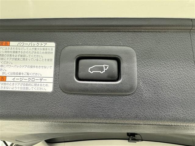 アルファード ２．５Ｓ　Ｃパッケージ　衝突被害軽減システム　メモリーナビ　フルセグ　バックカメラ　ＥＴＣ　ドラレコ　ＣＤ　ミュージックプレイヤー接続可　ＤＶＤ再生　後席モニター　サンルーフ　電動シート　オートクルーズコントロール　キーレス（36枚目）