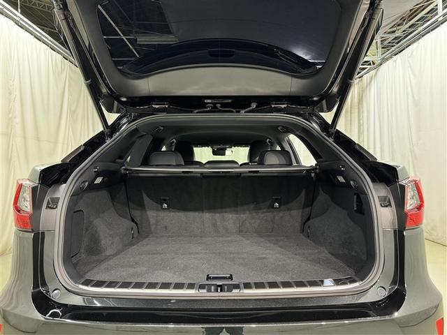 ＲＸ ＲＸ２００ｔ　Ｆスポーツ　衝突被害軽減システム　メモリーナビ　フルセグ　バックカメラ　ＥＴＣ　ＣＤ　ミュージックプレイヤー接続可　革シート　電動シート　オートクルーズコントロール　ＬＥＤヘッドランプ　スマートキー　キーレス（34枚目）