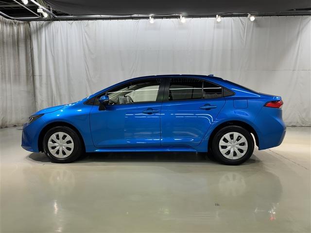 �F�͐l�C�̃u���[���^���b�N�ł��B