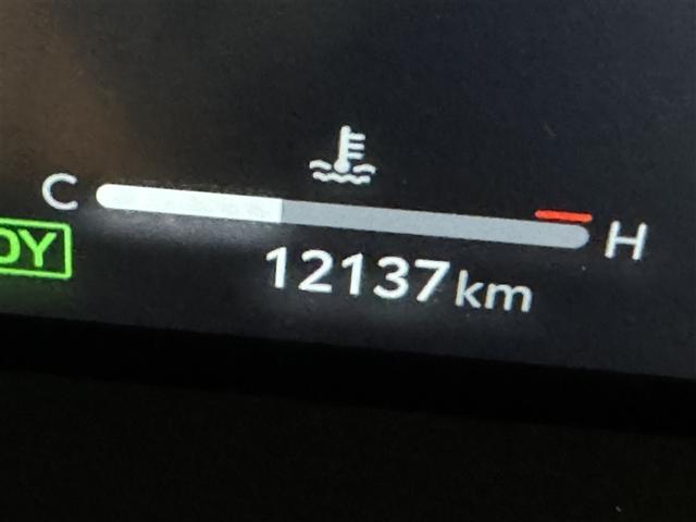 �ʐ^�B�e���̑��s�����ł��B�X�܊Ԃ̈ړ��Ȃǂő��s�������L�тĂ���ꍇ������܂��B