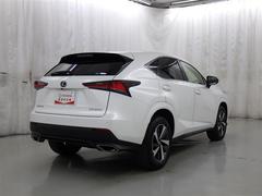 ������鸫��ȼ֤ΰ��ݤ��Ѥ��ޤ��͢� 6