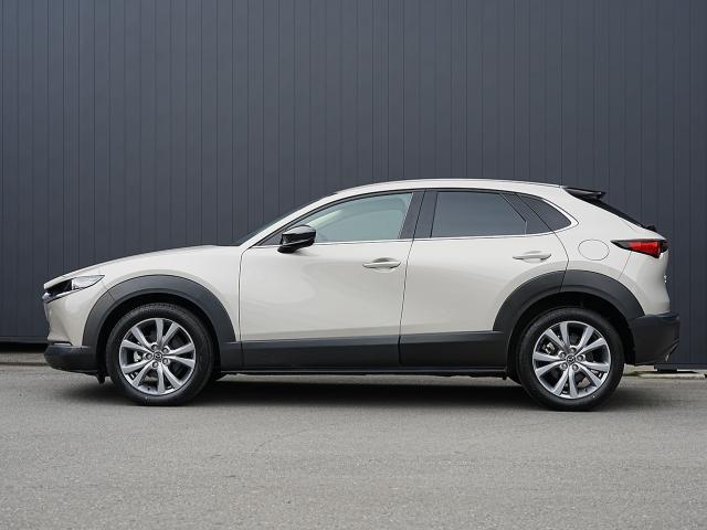 ＣＸ－３０ ＸＤ　プロアクティブ　ツーリングセレクション　衝突被害軽減システム　アダプティブクルーズコントロール　全周囲カメラ　オートマチックハイビーム　４ＷＤ　電動シート　シートヒーター　バックカメラ　オートライト　ＬＥＤヘッドランプ　ＥＴＣ　ディーゼル（3枚目）