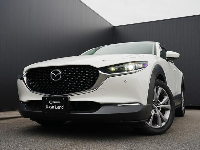 ＣＸ－３０ ＸＤ　Ｌパッケージ　衝突被害軽減システム　アダプティブクルーズコントロール　全周囲カメラ　オートマチックハイビーム　革シート　電動シート　シートヒーター　バックカメラ　オートライト　ＬＥＤヘッドランプ　ＥＴＣ　ディーゼル（18枚目）