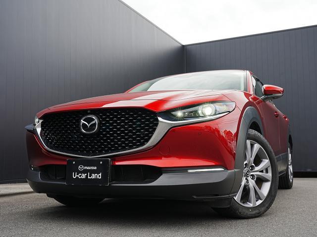 CX-30 20S プロアクティブ ツーリングセレクション 衝突被害軽減システム アダプティブクルーズコントロール 全周囲カメラ オートマチックハイビーム 電動シート シートヒーター バックカメラ オートライト LEDヘッドランプ Bluetooth(18枚目)