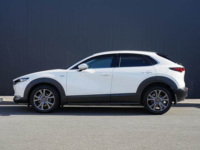 CX-30 XD 100周年特別記念車 衝突被害軽減システム アダプティブクルーズコントロール 全周囲カメラ オートマチックハイビーム 4WD 革シート 電動シート シートヒーター バックカメラ オートライト LEDヘッドランプ ディーゼル(3枚目)