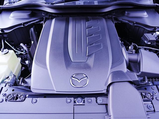 ＣＸ－６０ ２５Ｓ　Ｌパッケージ　衝突被害軽減システム　アダプティブクルーズコントロール　全周囲カメラ　オートマチックハイビーム　サンルーフ　革シート　電動シート　シートヒーター　バックカメラ　オートライト　ＬＥＤヘッドランプ　ＥＴＣ（20枚目）