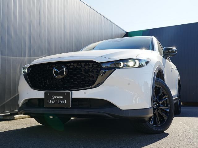 ���̓I�ȃV�O�l�`���[�E�B���O�Ɖs���w�b�h�����v�ɂ��A���s���̂���x�̐[���t�����g�t�F�C�X�ƂȂ��Ă��܂��B