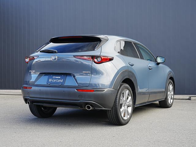 �i�荞�܂ꂽ�L���r������傫������o�����t�F���_�[�B�傫�����тꂽ���A�Q�[�g�ȂǁA�d���Ŕ��͂��郊�A�r���[�ƂȂ��Ă��܂��B