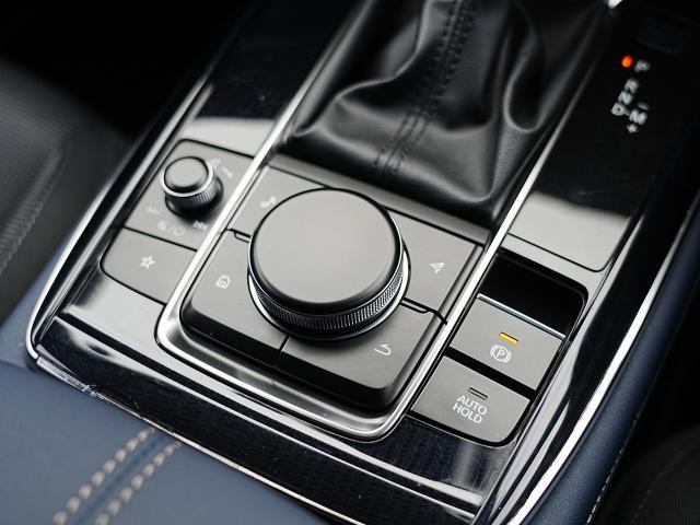 �i�r���I�[�f�B�I����_�C�����u�R���g���[���R�}���_�[�v�͎��R�Ǝ�̐G���ʒu�ɔz�u����Ă��܂��B�ڐ����O�����ƂȂ��茳�ő���ł��܂��B