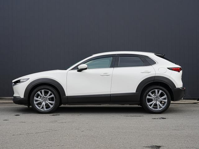 �v���X���C�����ɗ͔r�����������Ȗʂ̃T�C�h�r���[�B���̔��˂�i�F�̉f�荞�݂œ�����\�����Ă��܂��B