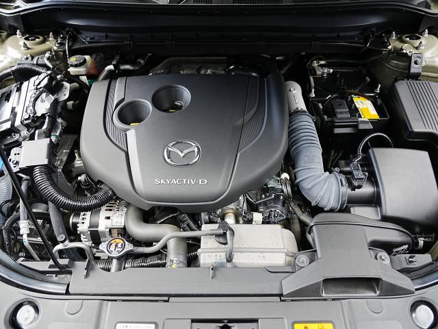 ＣＸ－５ ＸＤ　フィールドジャーニー　衝突被害軽減システム　アダプティブクルーズコントロール　全周囲カメラ　オートマチックハイビーム　４ＷＤ　革シート　電動シート　シートヒーター　バックカメラ　オートライト　ＬＥＤヘッドランプ　ＥＴＣ（20枚目）