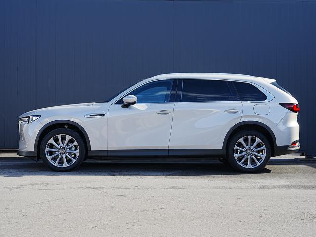 ������̂��Ԃ̂��_��ɂ͂����X�ł̌��Ԋm�F��K�{�����Ƃ����Ă��������܂�