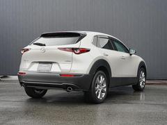 ʤޤ줿ӥ󤫤礭ĥФե礭Ӥ줿ꥢȤʤɡűϤꥢӥ塼ȤʤäƤޤ 2