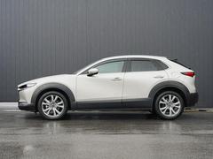 ץ쥹饤Ӥ̤Υɥӥ塼ȿͤʿαǤߤưɽƤޤ 3