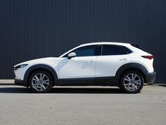 ץ쥹饤Ӥ̤Υɥӥ塼ȿͤʿαǤߤưɽƤޤ 3