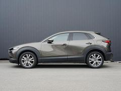 ץ쥹饤Ӥ̤Υɥӥ塼ȿͤʿαǤߤưɽƤޤ 3