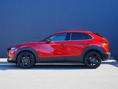 ץ쥹饤Ӥ̤Υɥӥ塼ȿͤʿαǤߤưɽƤޤ 3