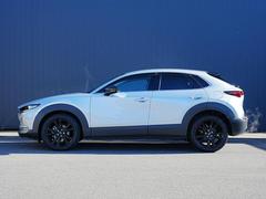 �ץ쥹�饤�������Ӥ������������̤Υ����ɥӥ塼������ȿ�ͤ�ʿ��αǤ���ߤ�ư����ɽ�����Ƥ��ޤ��� 3