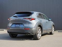 �ʤ���ޤ줿����ӥ󤫤��礭��ĥ��Ф����ե���������礭�����Ӥ줿�ꥢ�����Ȥʤɡ��ű�����Ϥ���ꥢ�ӥ塼�ȤʤäƤ��ޤ��� 2