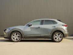 �ץ쥹�饤�������Ӥ������������̤Υ����ɥӥ塼������ȿ�ͤ�ʿ��αǤ���ߤ�ư����ɽ�����Ƥ��ޤ��� 3