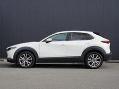 �ץ쥹�饤�������Ӥ������������̤Υ����ɥӥ塼������ȿ�ͤ�ʿ��αǤ���ߤ�ư����ɽ�����Ƥ��ޤ��� 3