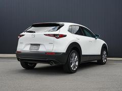 �ʤ���ޤ줿����ӥ󤫤��礭��ĥ��Ф����ե���������礭�����Ӥ줿�ꥢ�����Ȥʤɡ��ű�����Ϥ���ꥢ�ӥ塼�ȤʤäƤ��ޤ��� 2