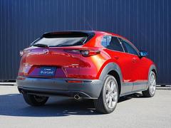 �ʤ���ޤ줿����ӥ󤫤��礭��ĥ��Ф����ե���������礭�����Ӥ줿�ꥢ�����Ȥʤɡ��ű�����Ϥ���ꥢ�ӥ塼�ȤʤäƤ��ޤ��� 2