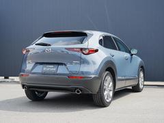 �ʤ���ޤ줿����ӥ󤫤��礭��ĥ��Ф����ե���������礭�����Ӥ줿�ꥢ�����Ȥʤɡ��ű�����Ϥ���ꥢ�ӥ塼�ȤʤäƤ��ޤ��� 2